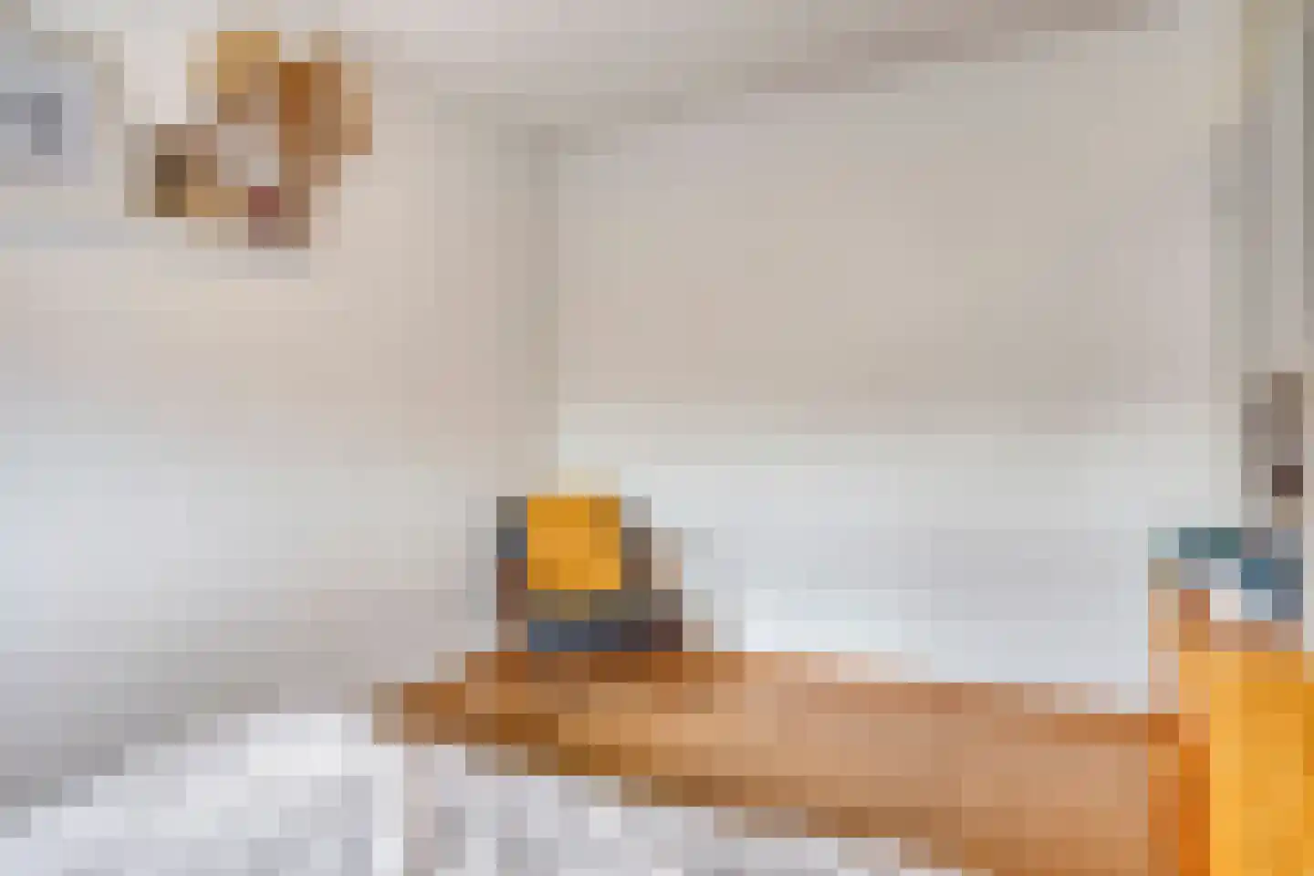 Rijnstraat 21 Huissen thumbnail 20