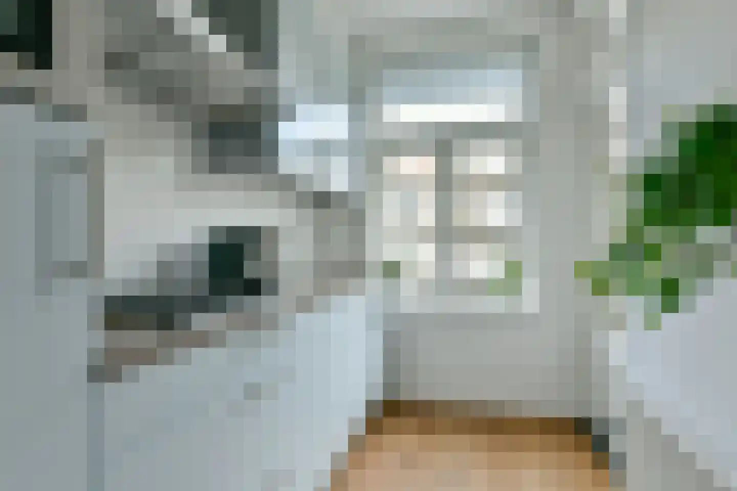 Rijnstraat 217 2 Amsterdam thumbnail 14