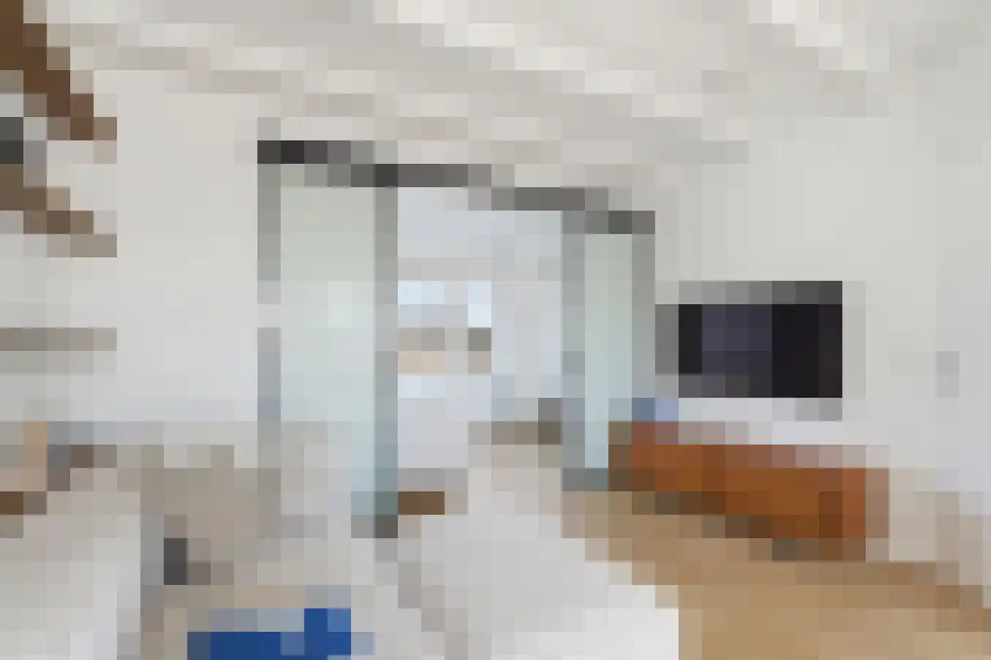 Rijnstraat 225 4 Amsterdam foto 2