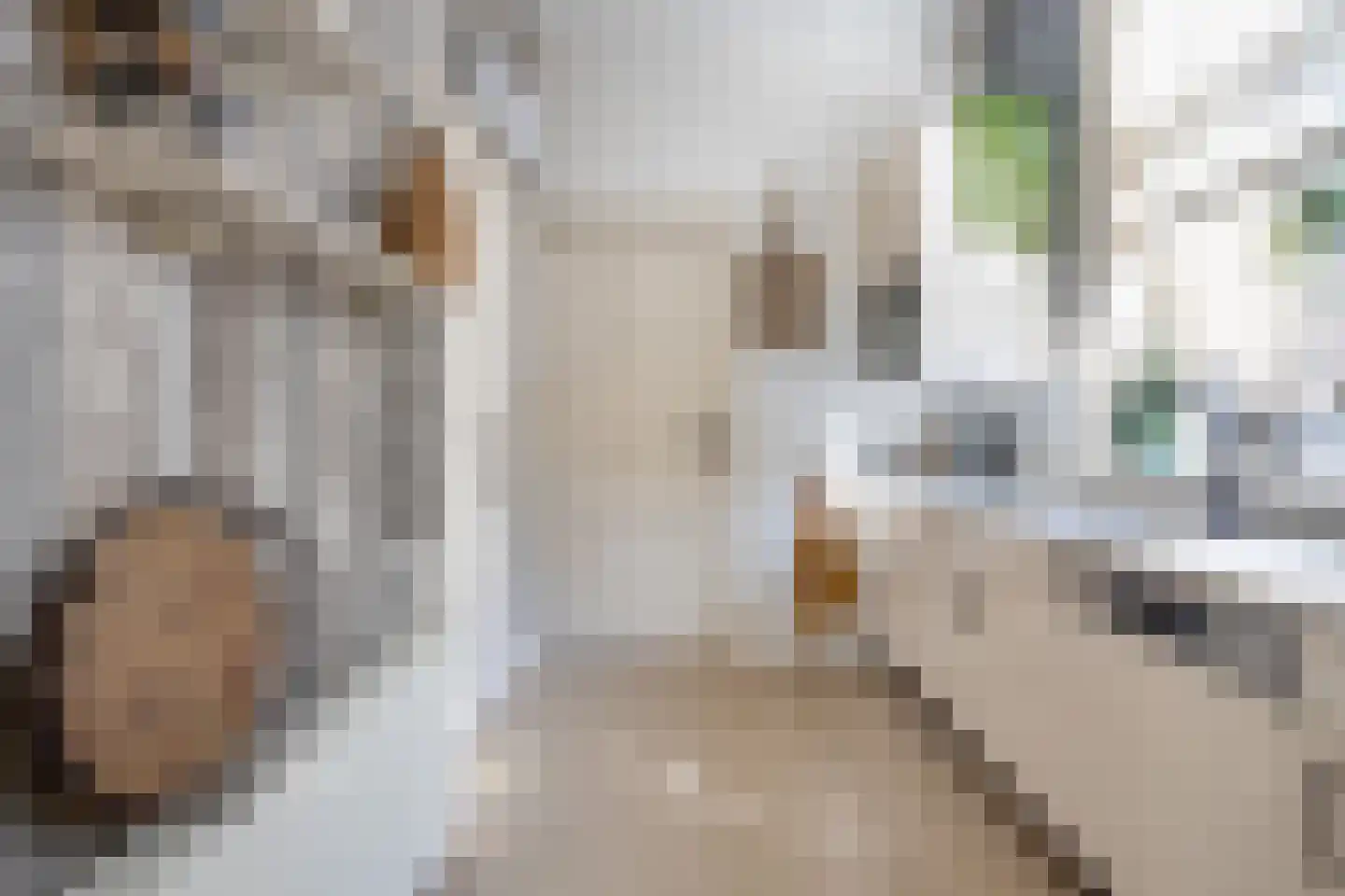 Rijnstraat 23 Eindhoven thumbnail 11