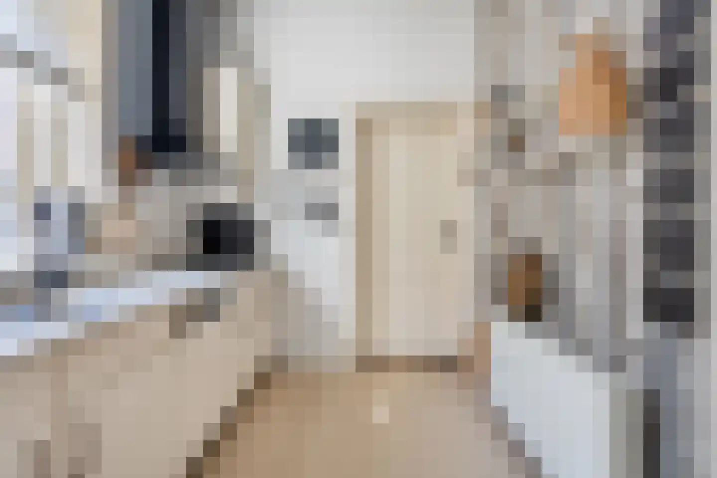 Rijnstraat 23 Eindhoven thumbnail 12