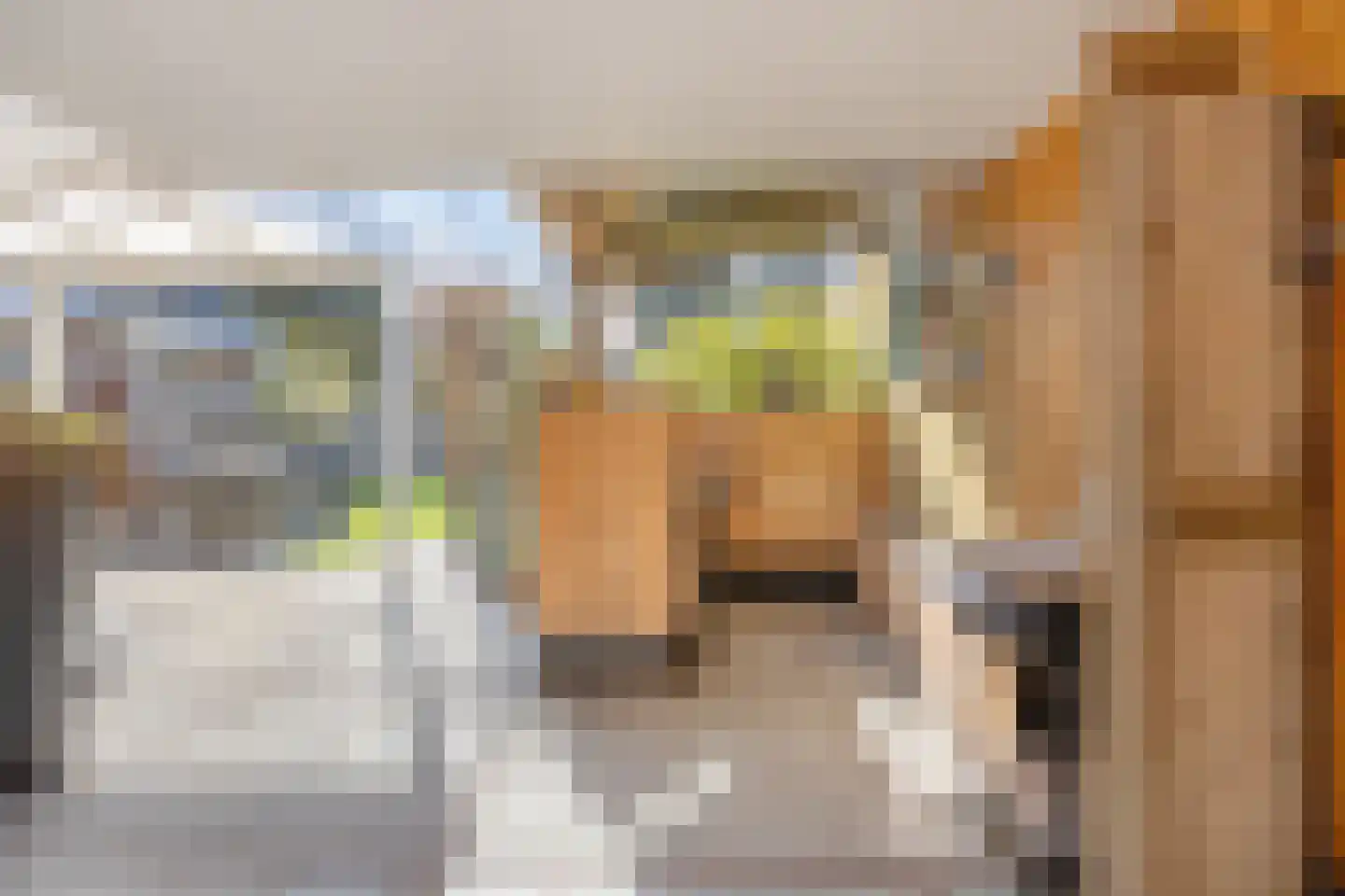 Rijnstraat 23 Eindhoven thumbnail 31
