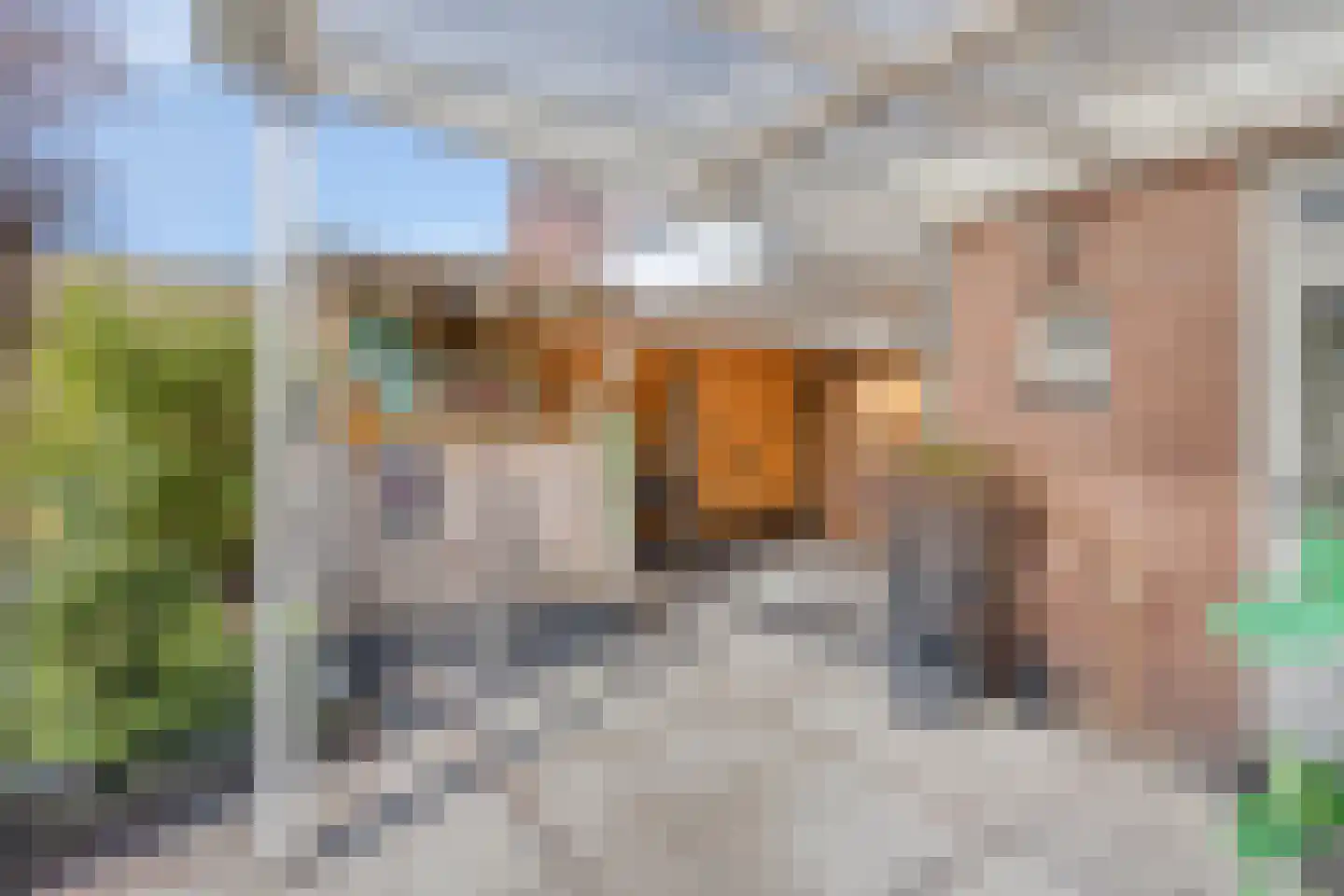 Rijnstraat 23 Eindhoven thumbnail 32