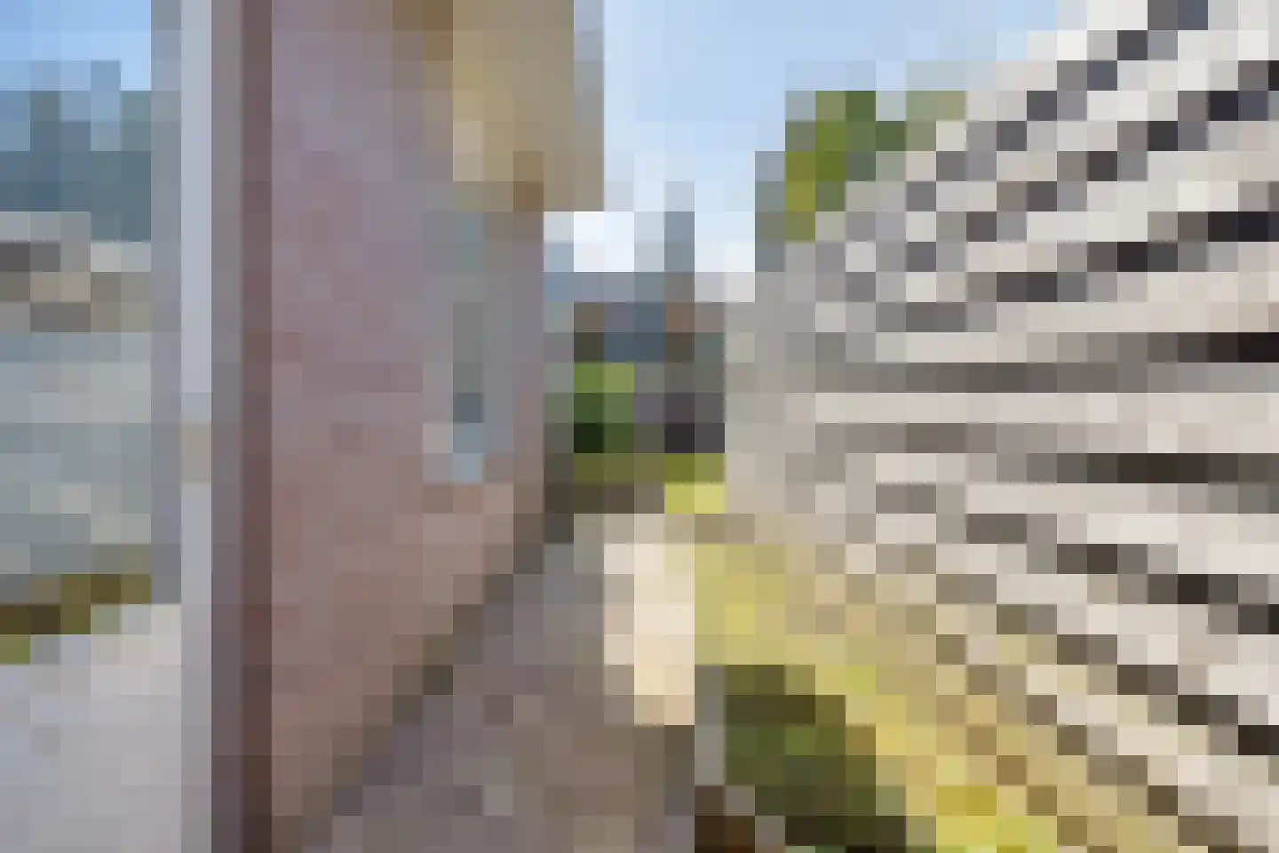Rijnstraat 23 Eindhoven thumbnail 58