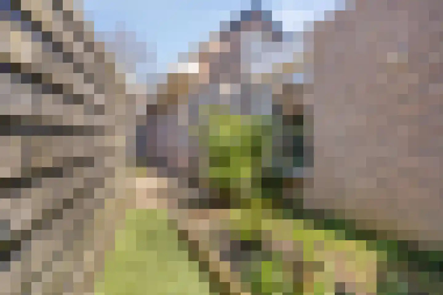 Rijnstraat 23 Eindhoven thumbnail 59