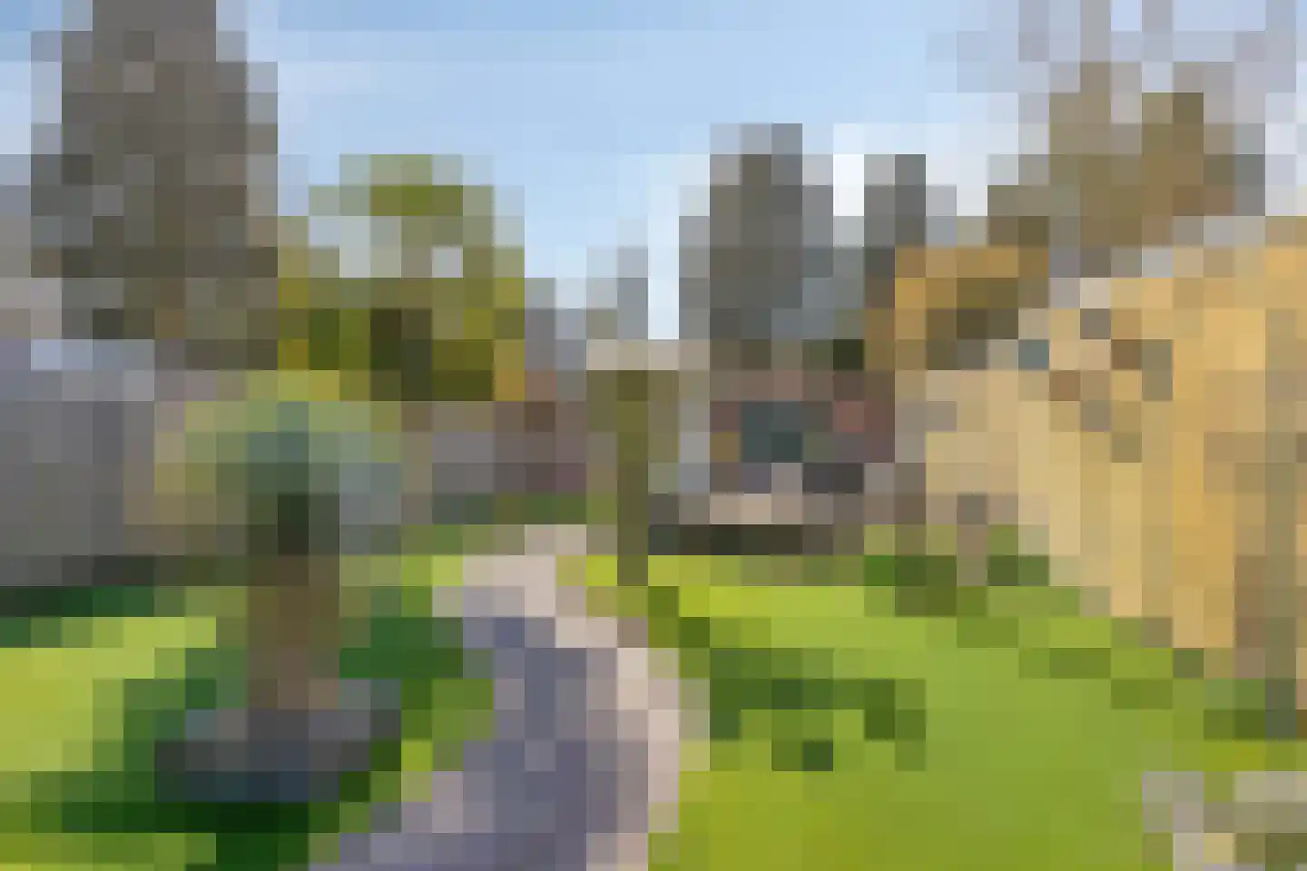 Rijnstraat 23 Eindhoven thumbnail 6