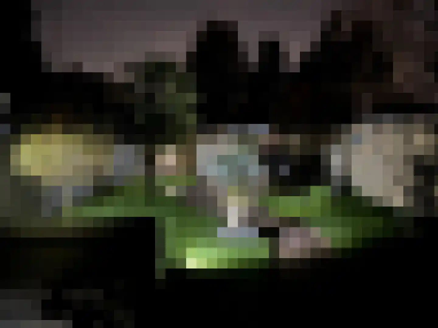 Rijnstraat 23 Eindhoven thumbnail 63
