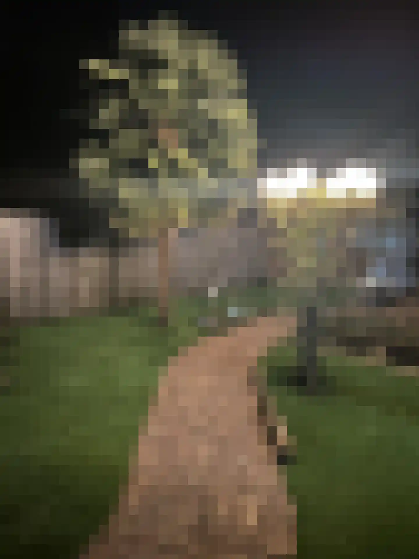 Rijnstraat 23 Eindhoven thumbnail 64