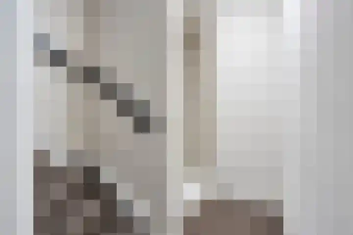 Rijnstraat 24 1 Arnhem thumbnail 5
