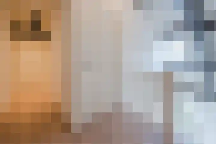 Rijnstraat 24 Doornenburg thumbnail 15