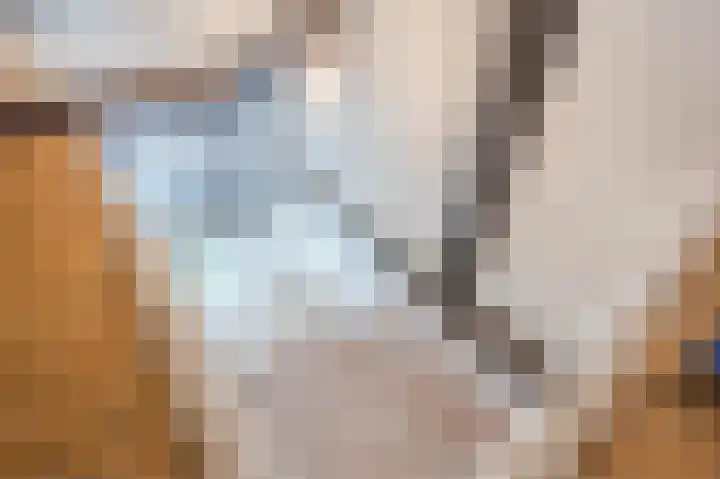 Rijnstraat 24 Doornenburg thumbnail 16