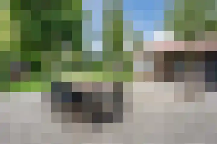 Rijnstraat 24 Doornenburg thumbnail 29
