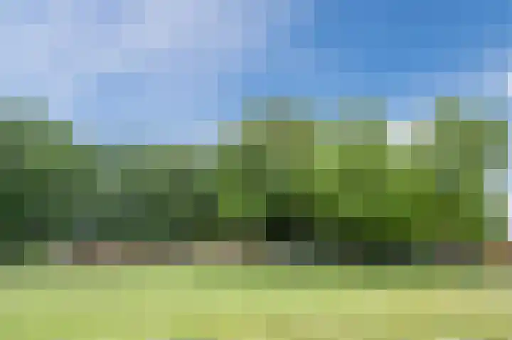 Rijnstraat 24 Doornenburg thumbnail 36