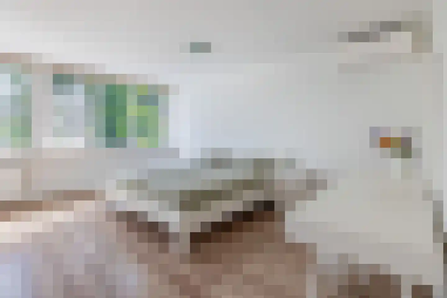 Rijnstraat 24 Veghel thumbnail 12