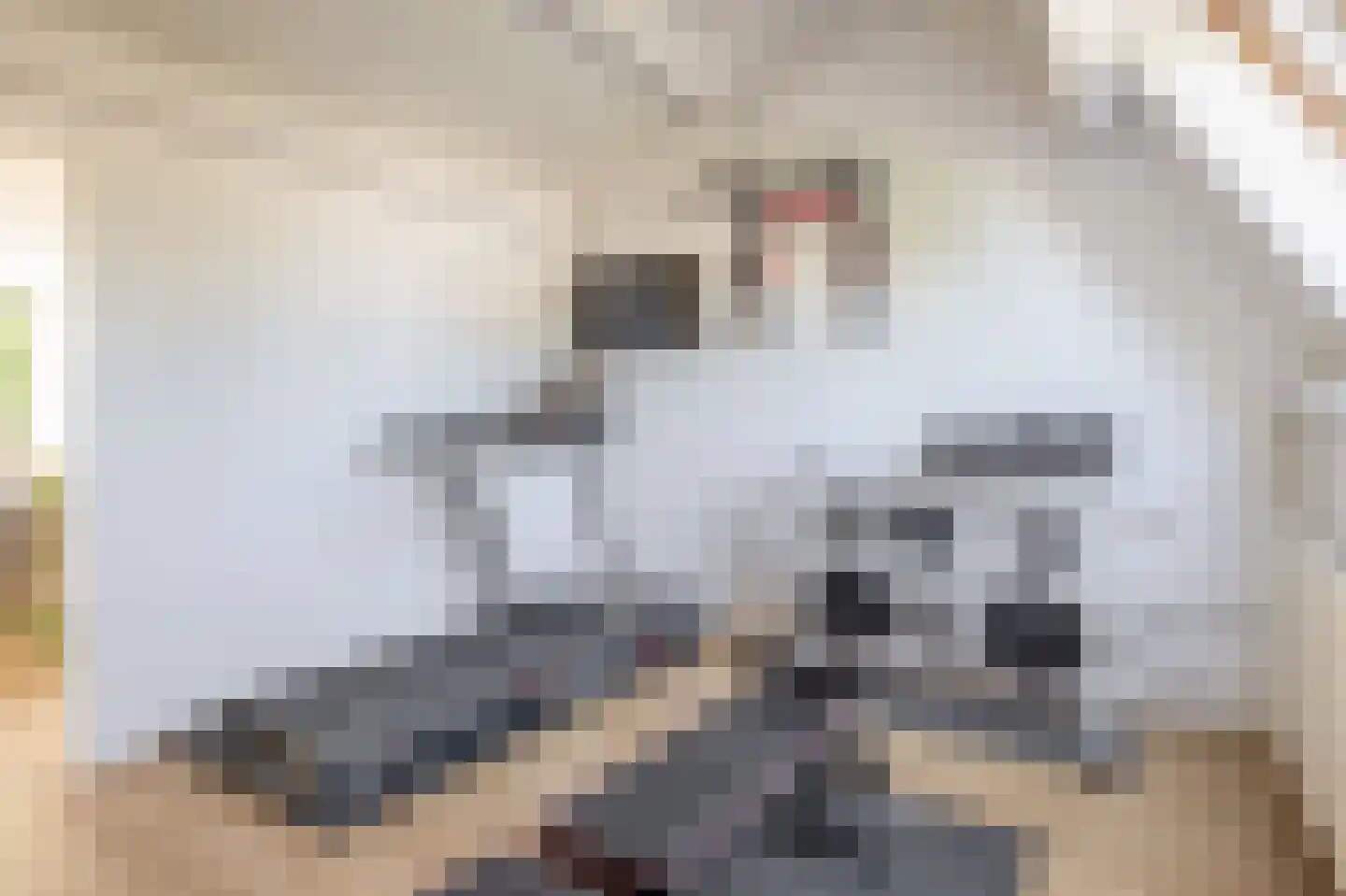 Rijnstraat 24 Veghel thumbnail 15