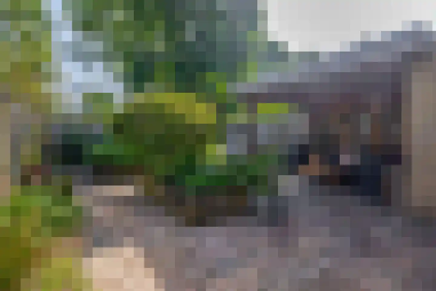Rijnstraat 24 Veghel thumbnail 19
