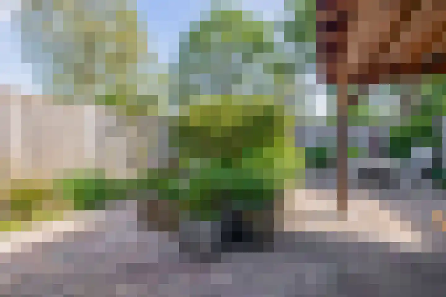 Rijnstraat 24 Veghel thumbnail 20