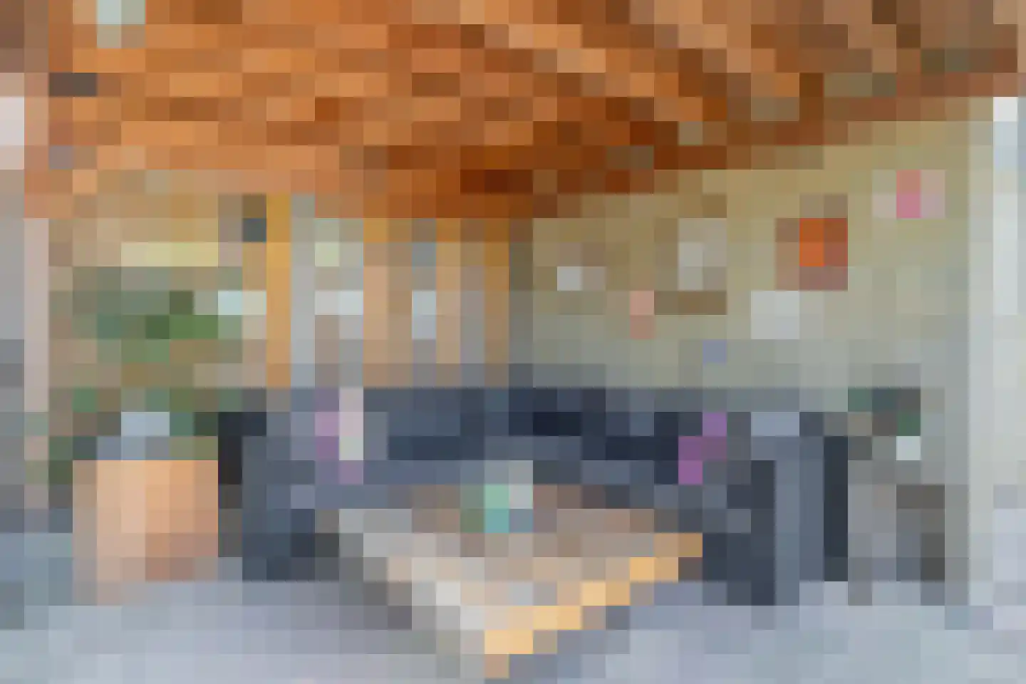 Rijnstraat 24 Veghel thumbnail 21
