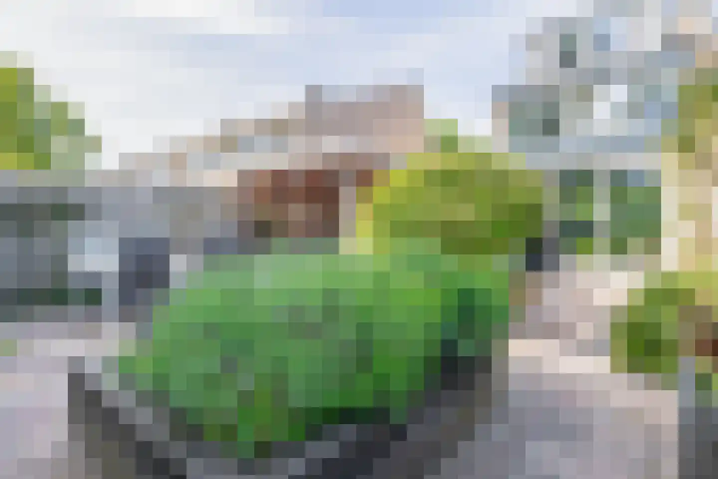Rijnstraat 24 Veghel thumbnail 22