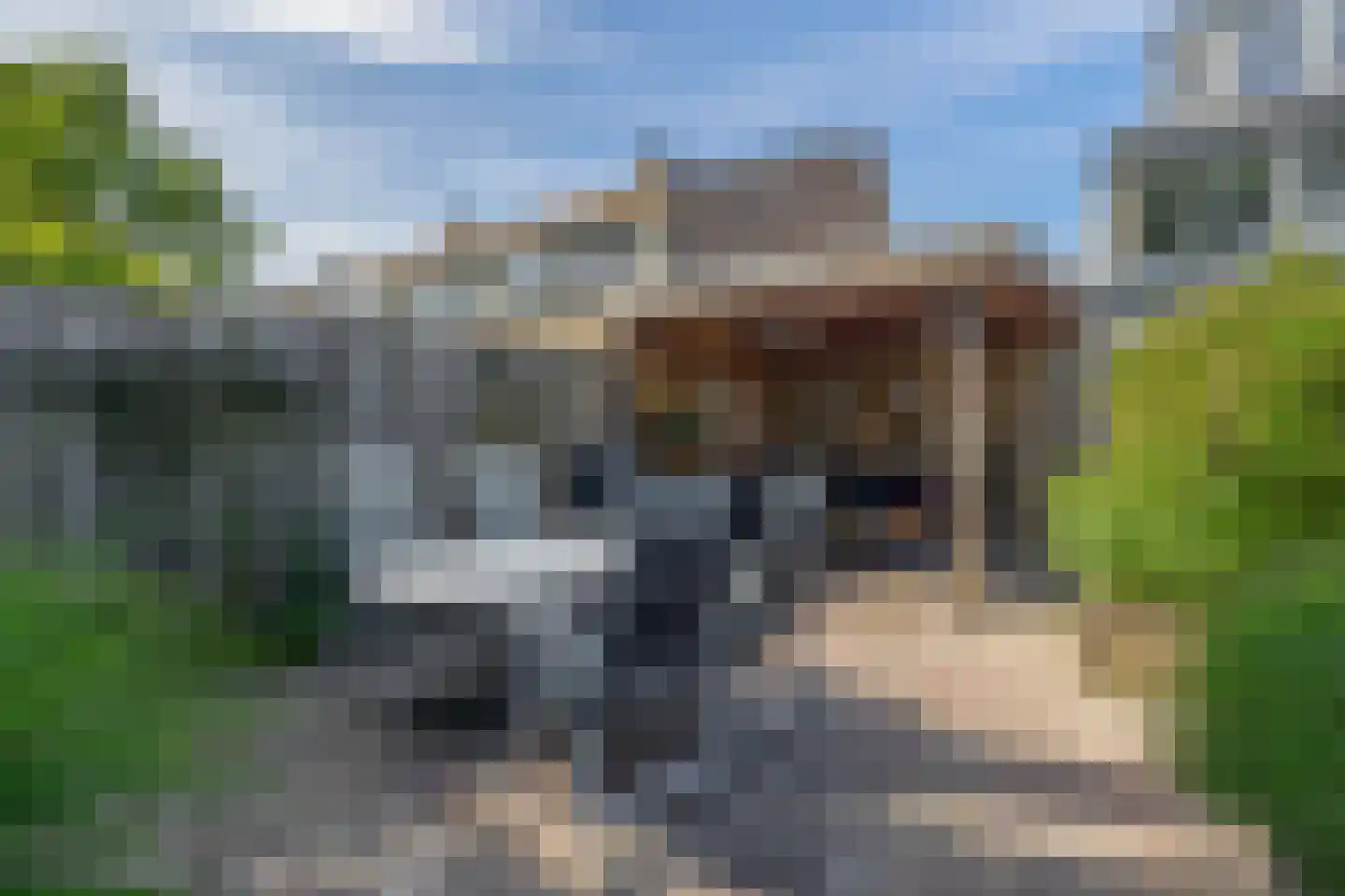 Rijnstraat 24 Veghel thumbnail 23