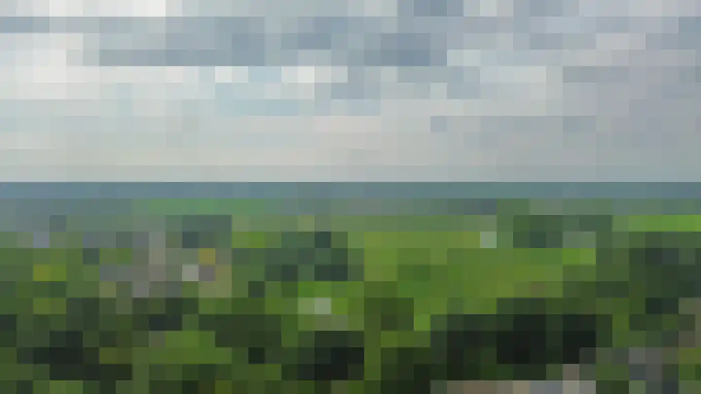Rijnstraat 24 Veghel thumbnail 29