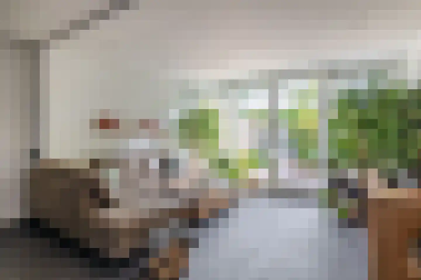 Rijnstraat 24 Veghel thumbnail 4
