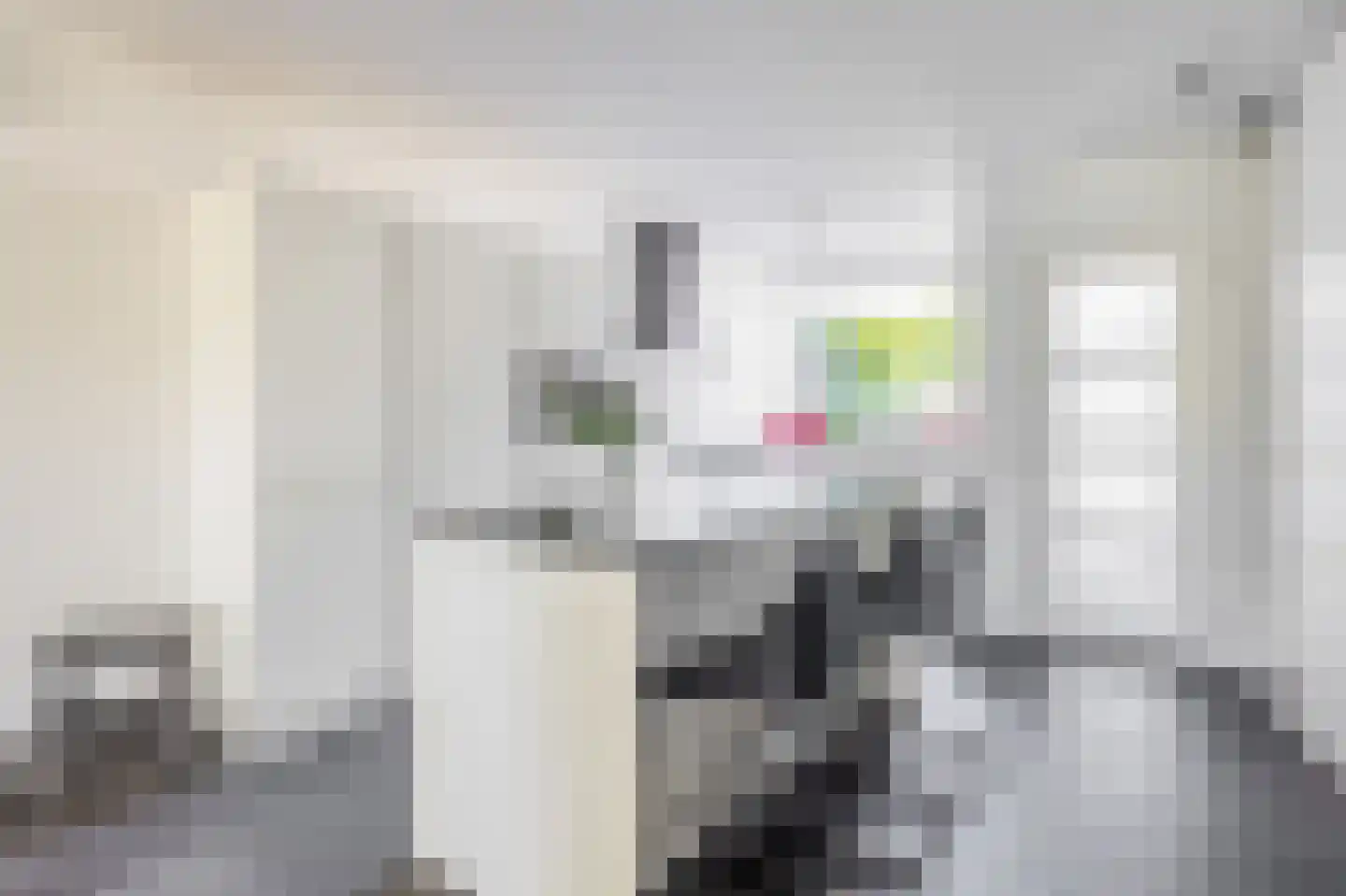 Rijnstraat 24 Veghel thumbnail 7