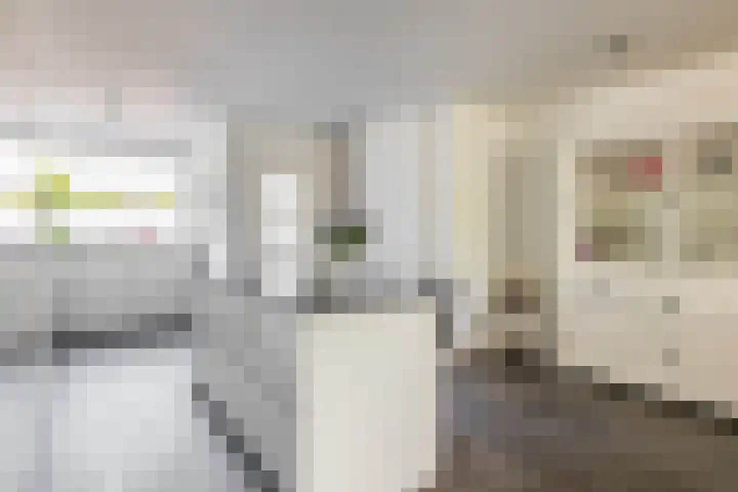 Rijnstraat 24 Veghel thumbnail 8