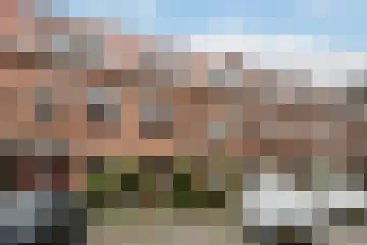 Rijnstraat 27 A Schiedam thumbnail 24