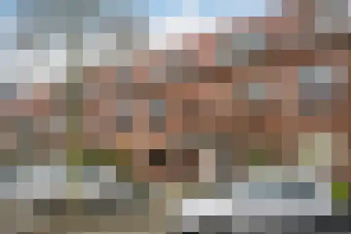 Rijnstraat 27 A Schiedam thumbnail 25