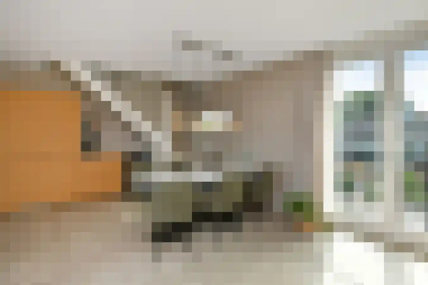 Rijnstraat 28 b Driel thumbnail 12