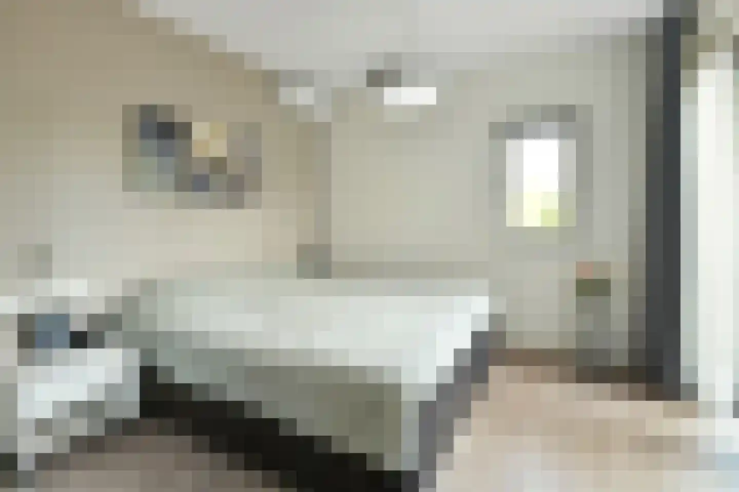 Rijnstraat 28 b Driel thumbnail 17