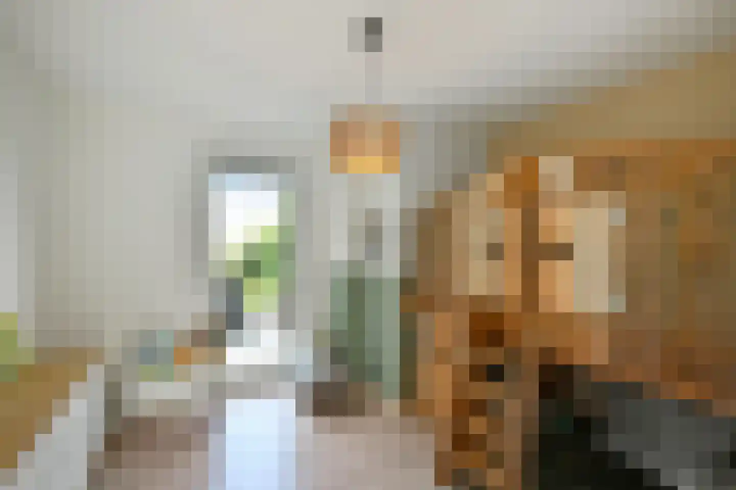 Rijnstraat 28 b Driel thumbnail 21