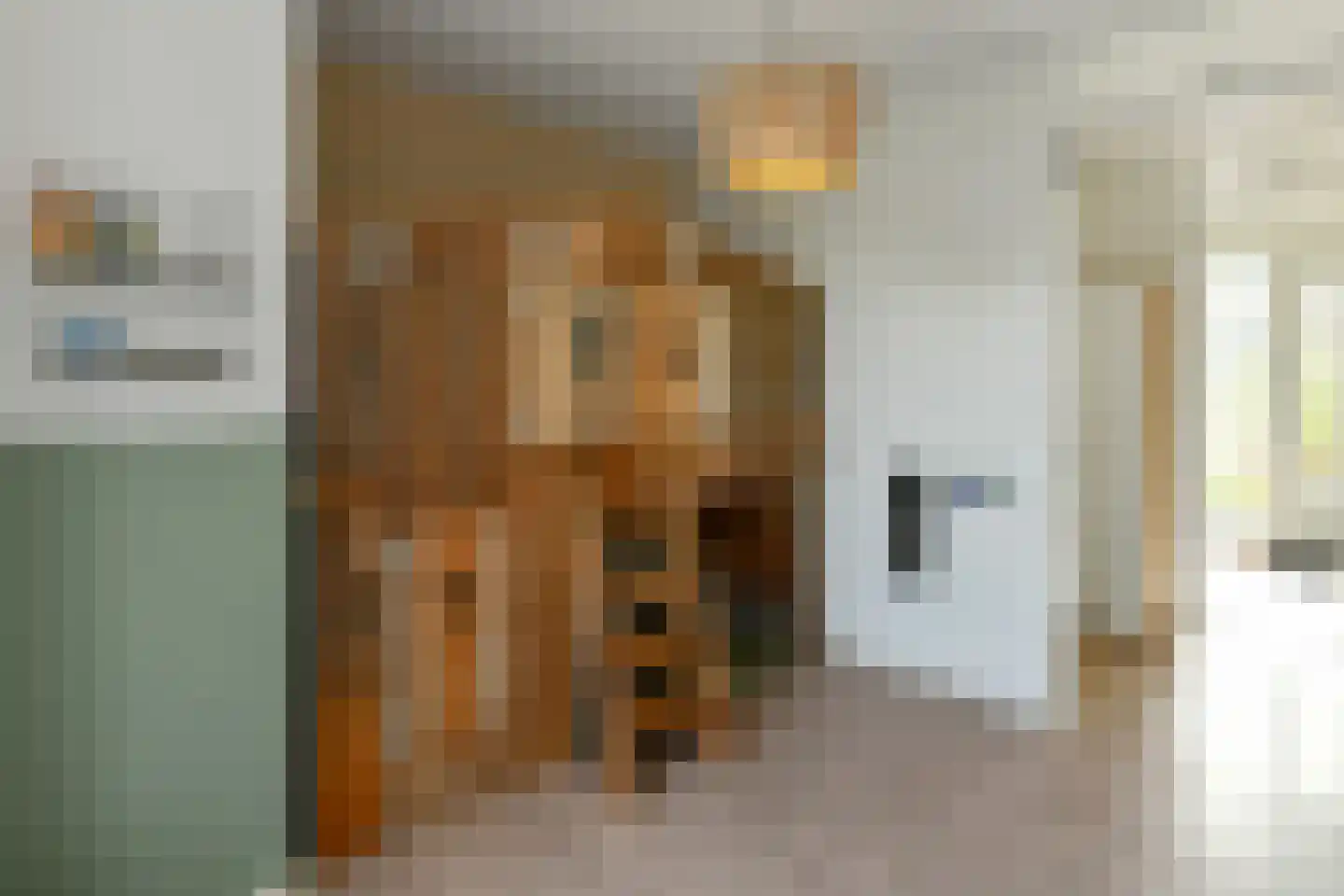 Rijnstraat 28 b Driel thumbnail 22