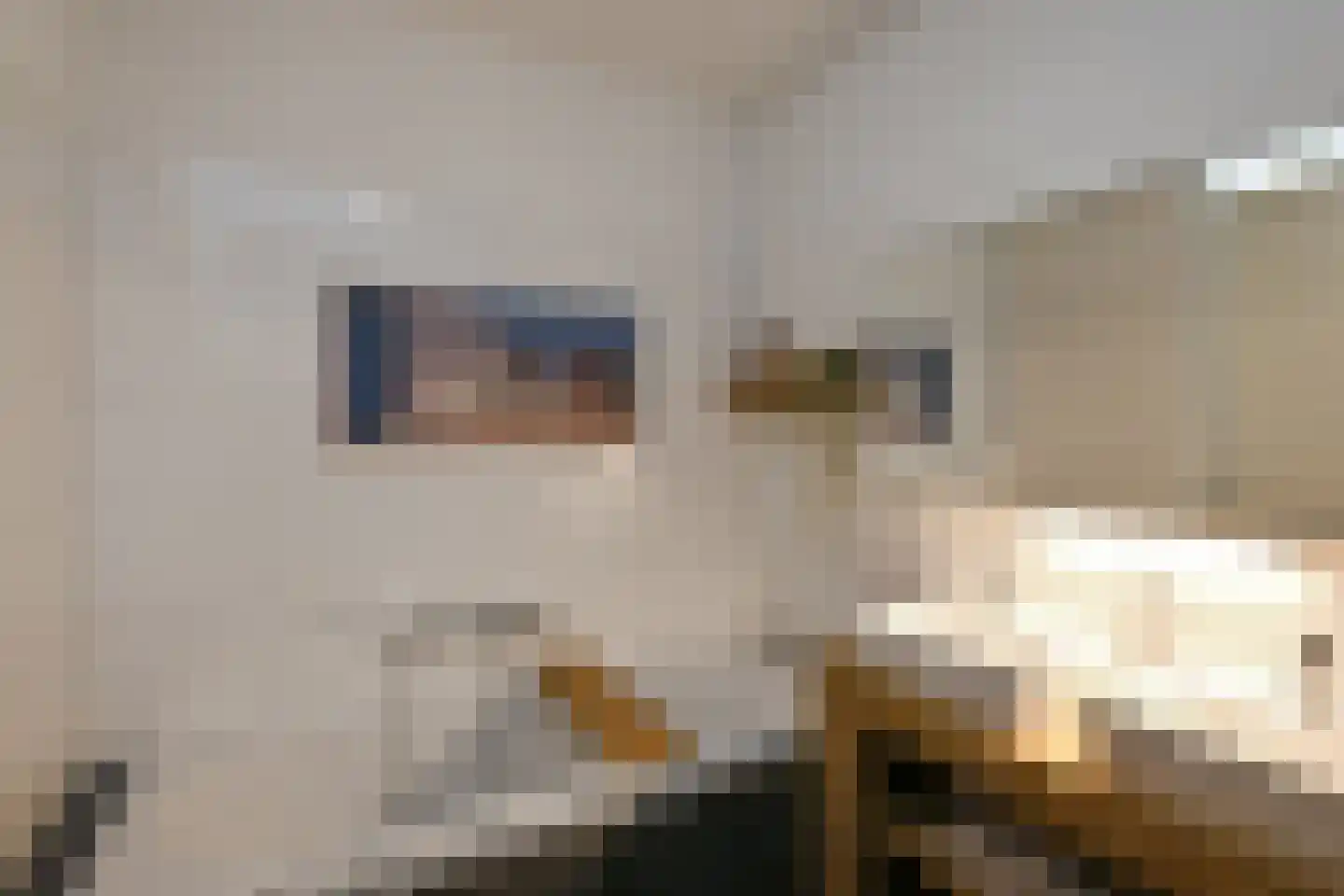 Rijnstraat 28 b Driel thumbnail 24