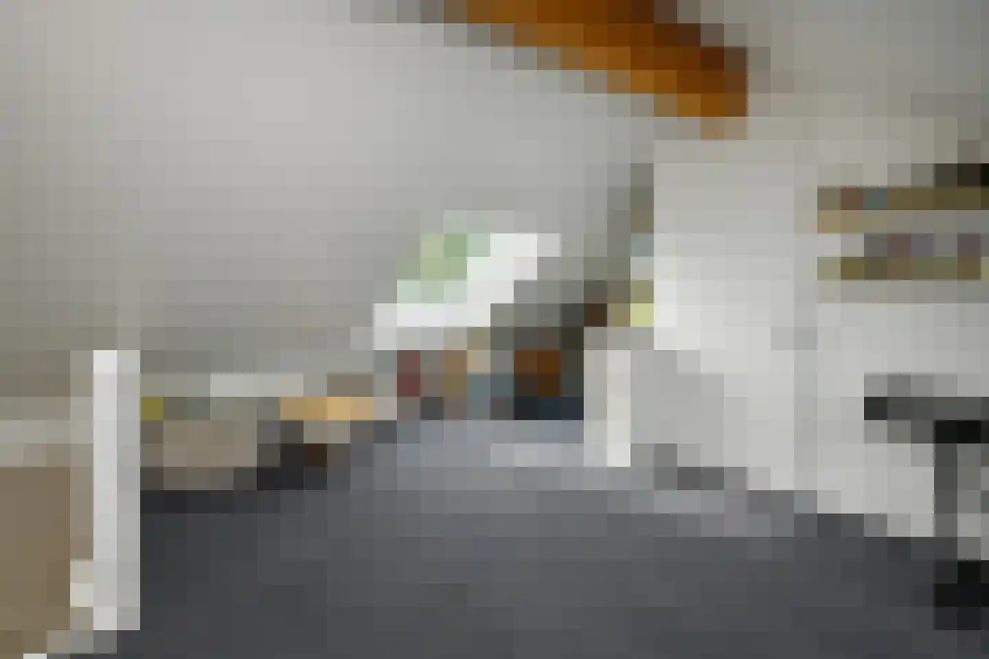 Rijnstraat 28 b Driel thumbnail 26