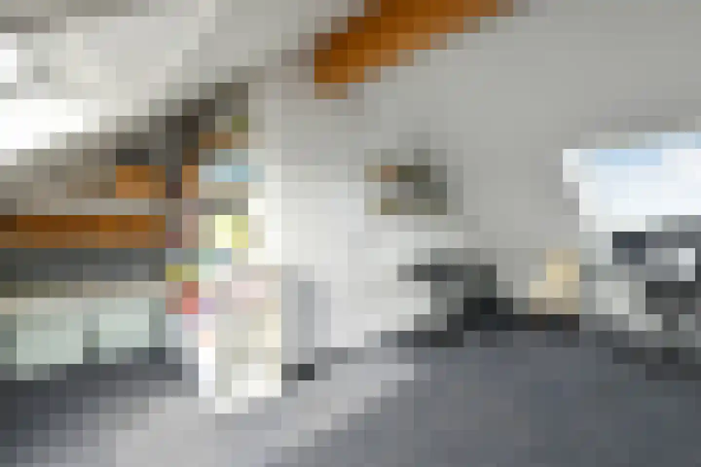 Rijnstraat 28 b Driel thumbnail 29