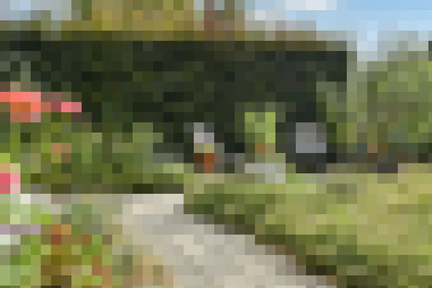 Rijnstraat 28 b Driel thumbnail 44