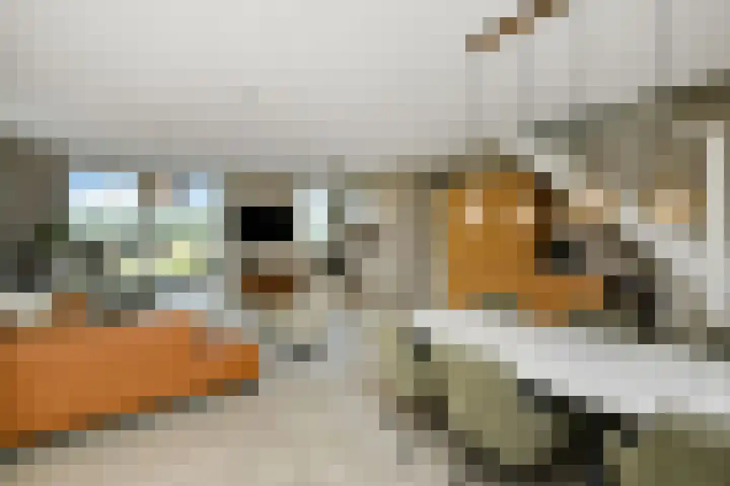Rijnstraat 28 b Driel thumbnail 6
