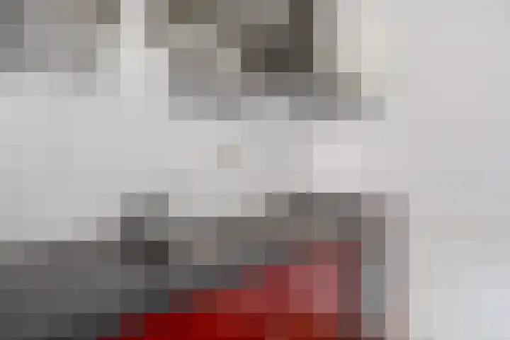Rijnstraat 3 Leiden thumbnail 7