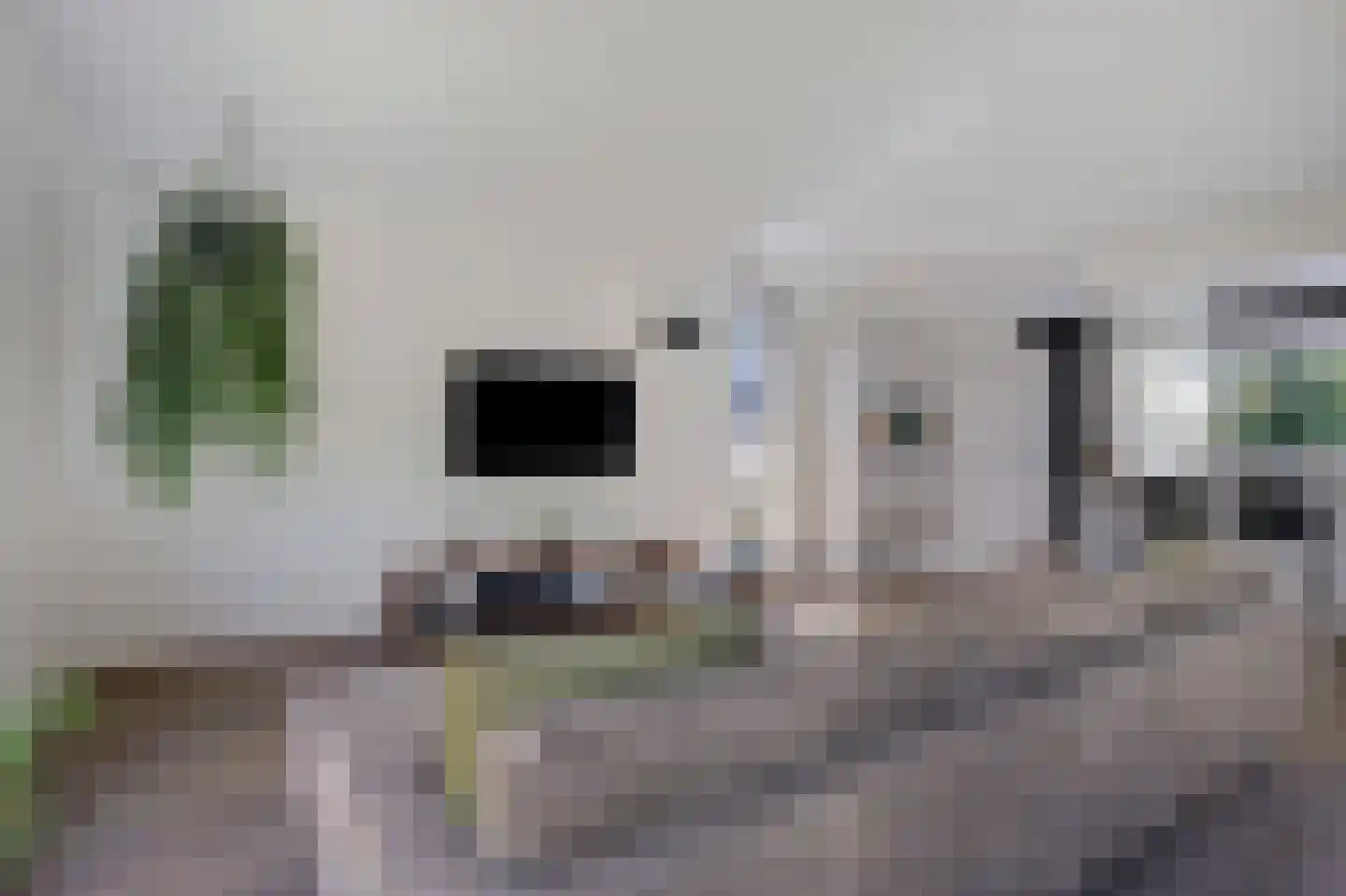 Rijnstraat 3 Pannerden thumbnail 25