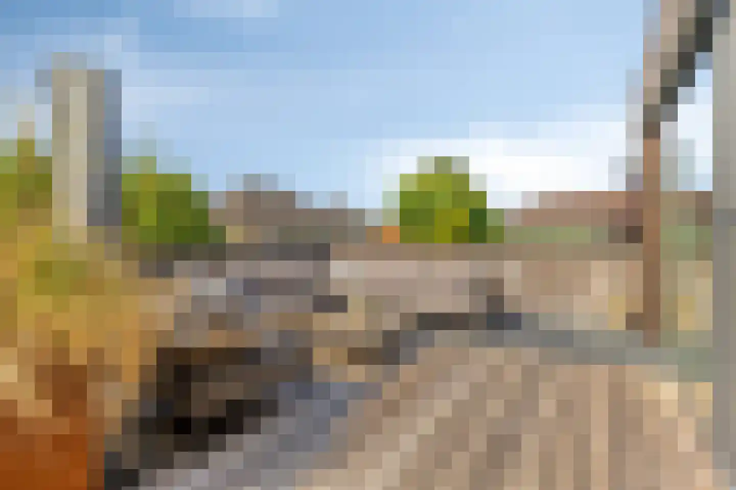 Rijnstraat 3 Pannerden thumbnail 35