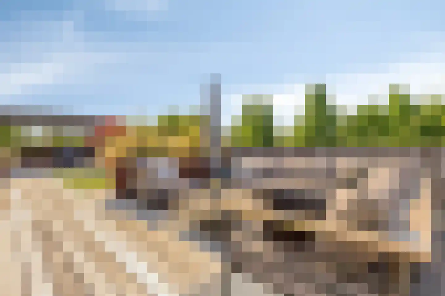 Rijnstraat 3 Pannerden thumbnail 36