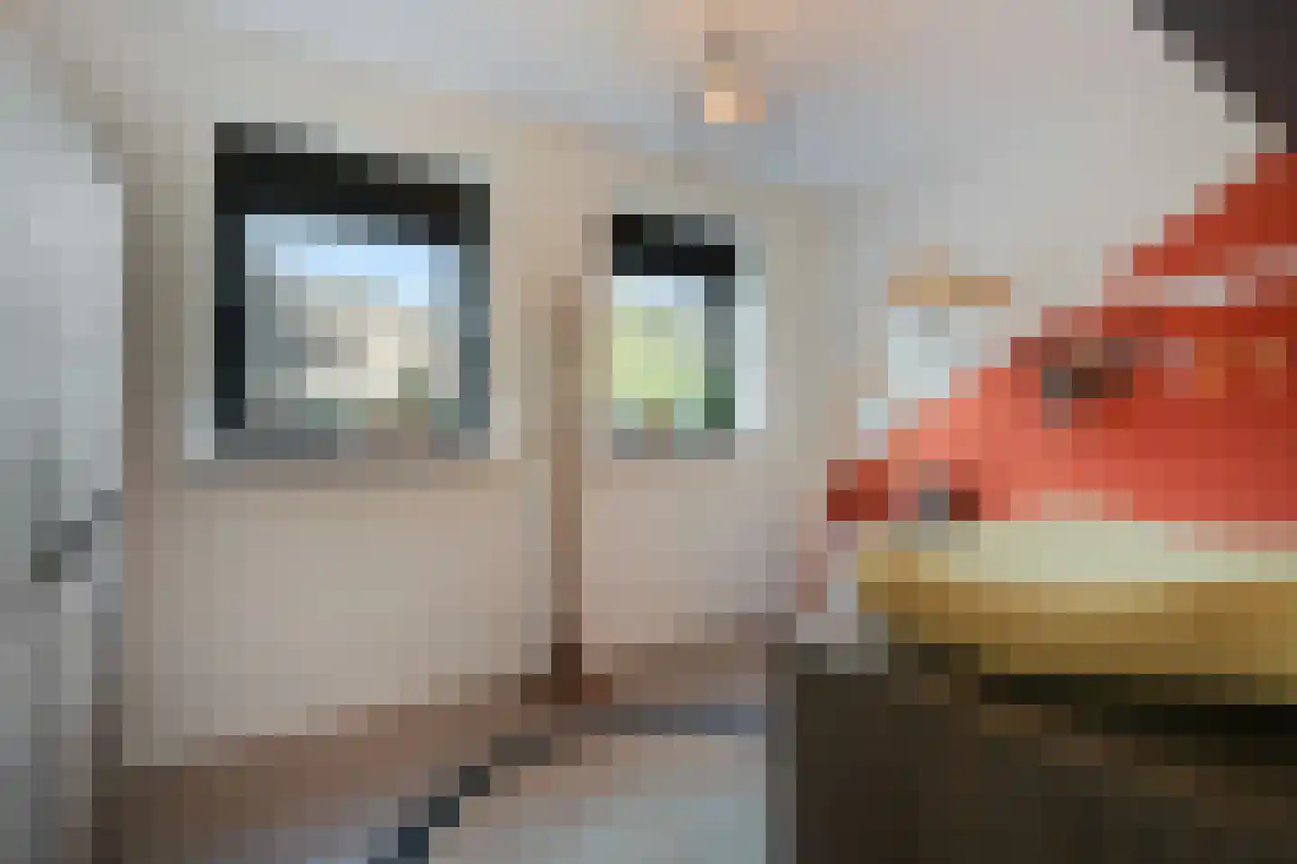 Rijnstraat 3 Pannerden thumbnail 62