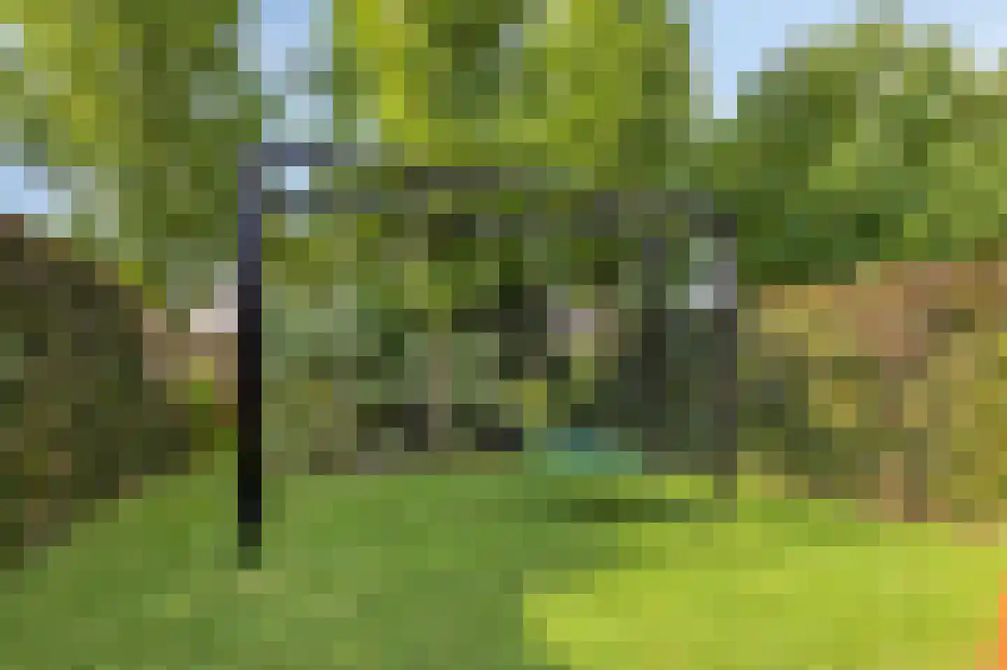 Rijnstraat 3 Pannerden thumbnail 66