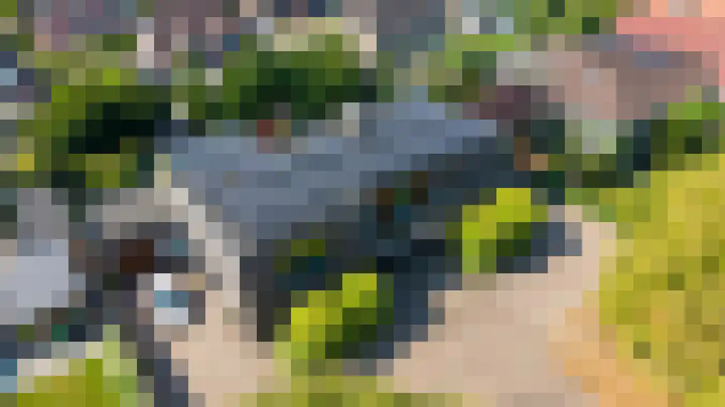 Rijnstraat 3 Pannerden thumbnail 71