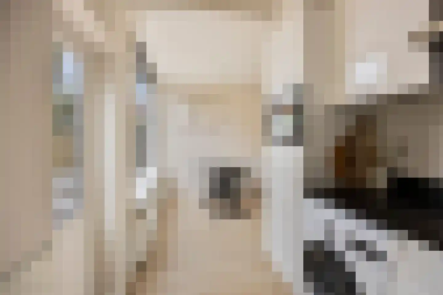 Rijnstraat 3 Purmerend thumbnail 12