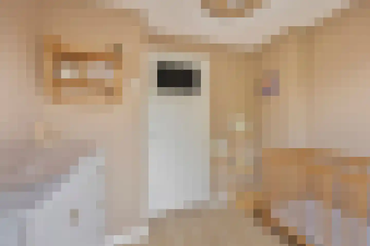 Rijnstraat 3 Purmerend thumbnail 22