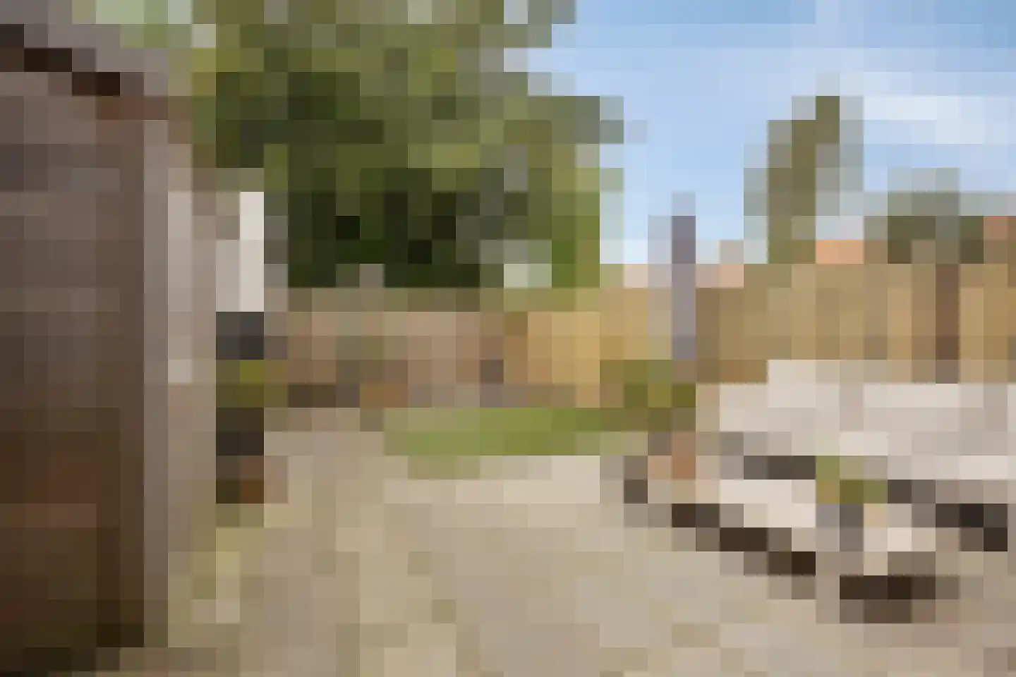 Rijnstraat 3 Purmerend thumbnail 23