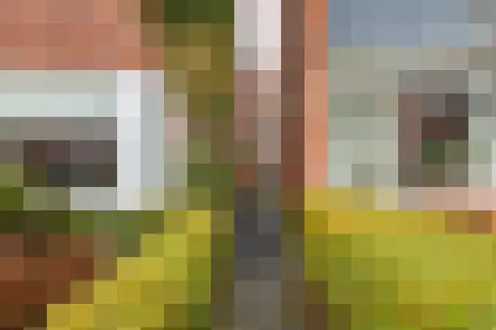 Rijnstraat 30 b Groningen thumbnail 43